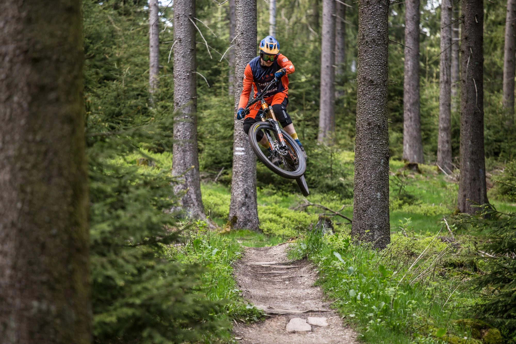 Page de garde 17 Page de garde -Vélos Soldes Boutique 197847543 4343473852350281 5697035440577777057 n