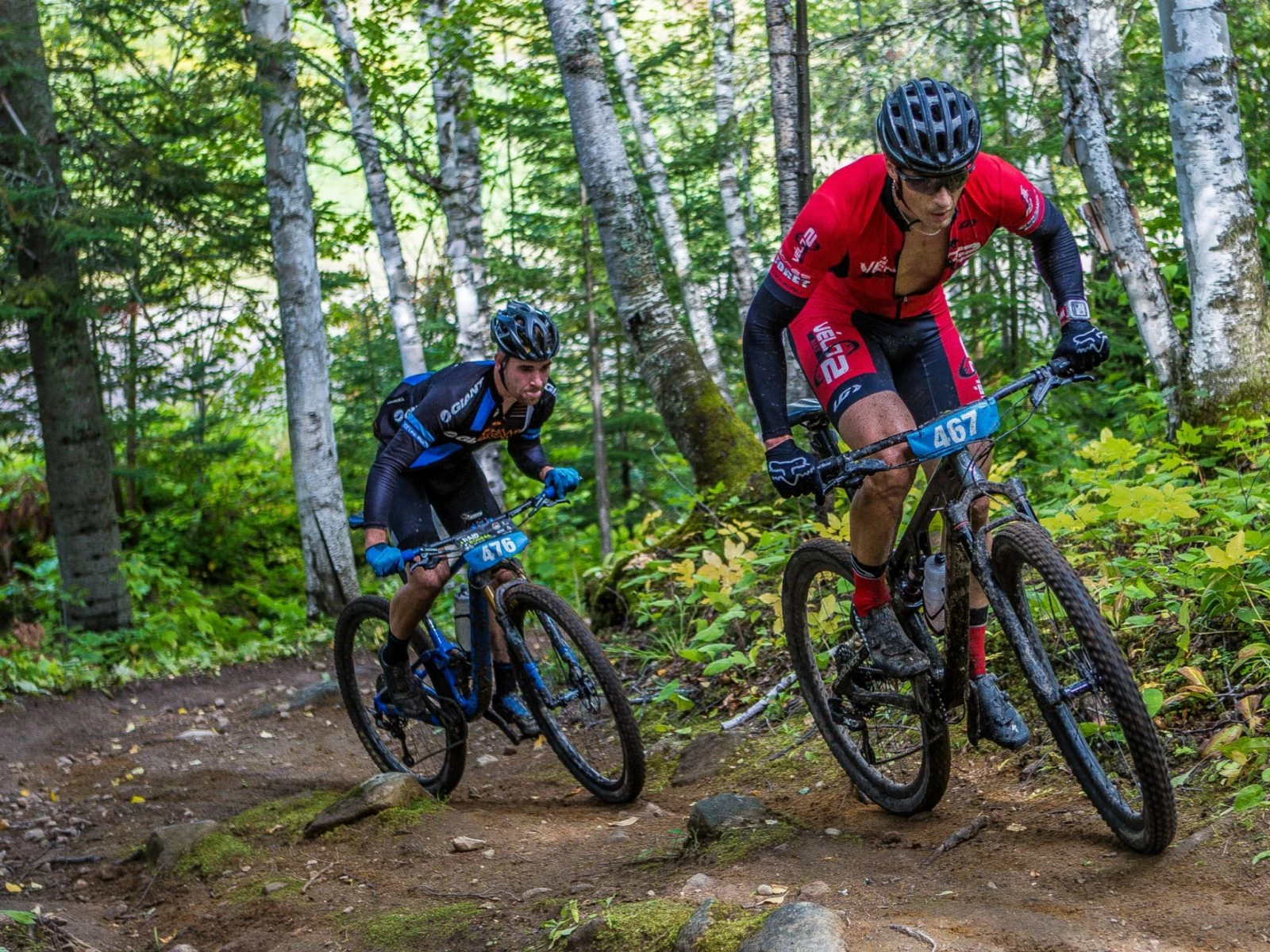 Page de garde 9 Page de garde -Vélos Soldes Boutique 33