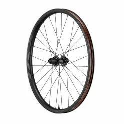 Giant TRX 2 MTB Carbon 29 - Roue Arrière