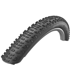 Schwalbe Pneu Pliable Racing Ralph - 29x2.25 Pouces - Evo SnakeSkin TLE Addix Speed