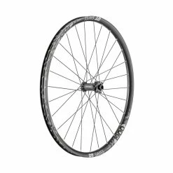 Dt-swiss H 1900 Spline DB Roue Avant 29 Pouces, 30mm Alu, IS-6Trous, 110/15mm Boost TA